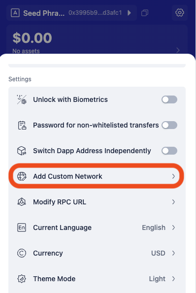 Rabby settings Add Custom Network option